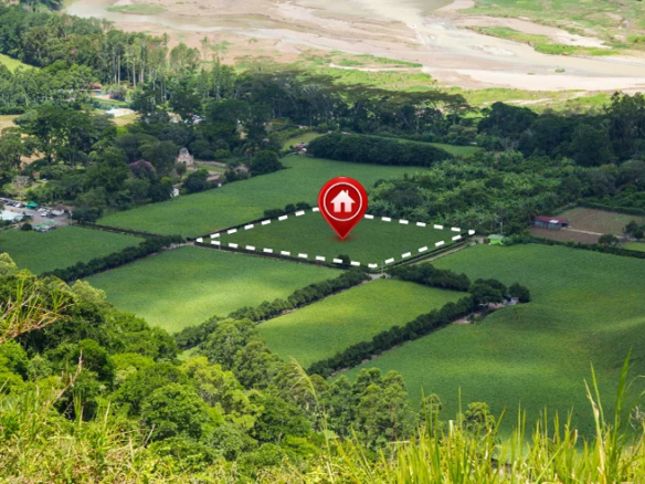 Homeswithacreageforsale Al 02