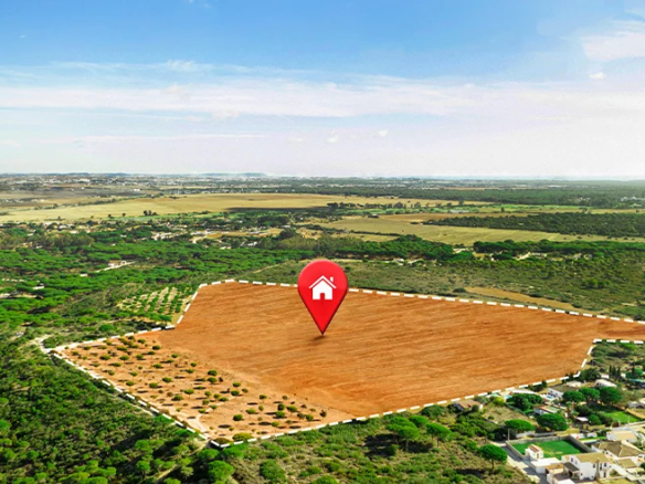 Homeswithacreageforsale Al 03