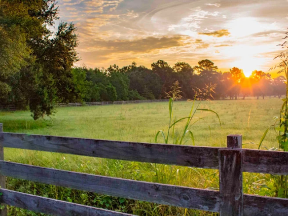 Homeswithacreageforsale Al